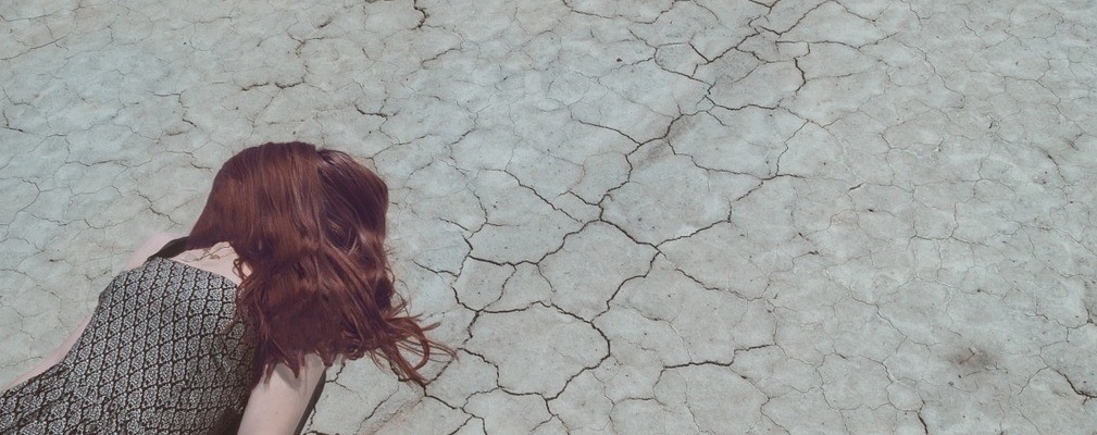 Cheveux secs : comment choisir le shampoing efficace ?