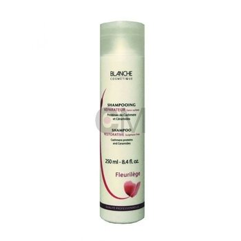Shampoing réparateur sans sulfate – Fleurilège